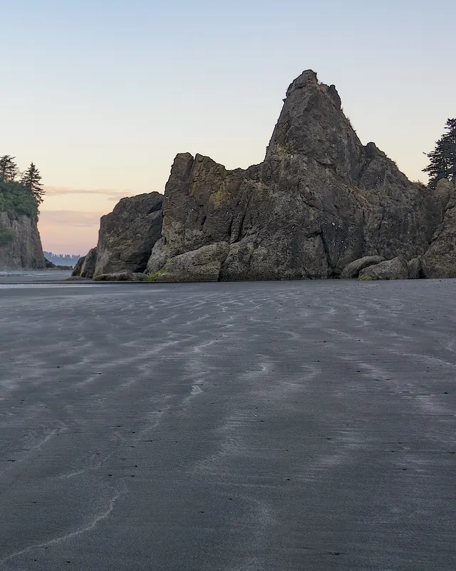 A tall sea stack topped with trees stands in the surf at Ruby Beach, in soft dawn light.